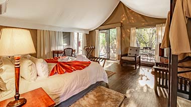 Phelwana Game Lodge - Luxury Tented Camp